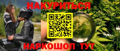 дживик Можга