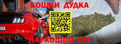 дживик Можга